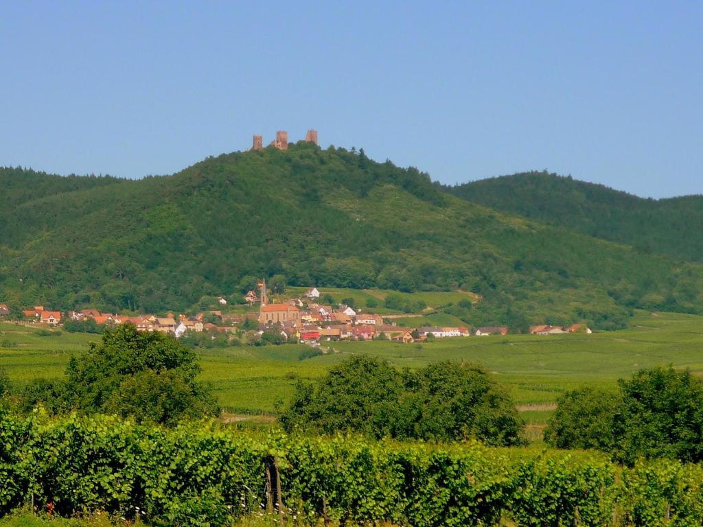 Chambres d'hôtes Gilles Schneider Husseren-les-Châteaux Extérieur photo